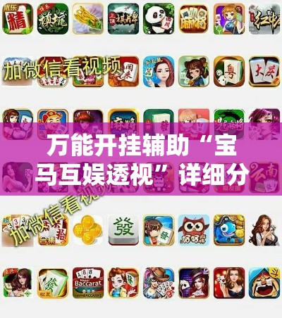 万能开挂辅助“宝马互娱透视”详细分享装挂步骤
