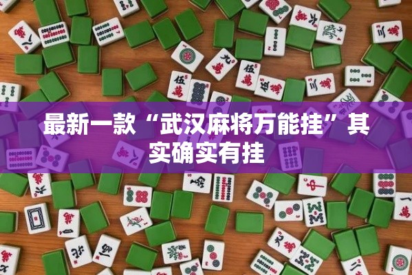 最新一款“武汉麻将万能挂”其实确实有挂