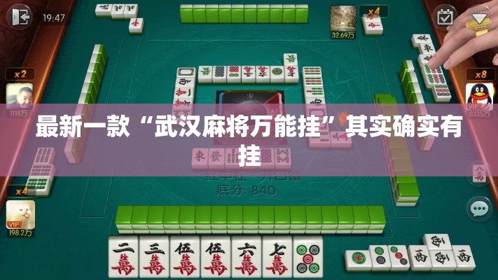最新一款“武汉麻将万能挂	”其实确实有挂