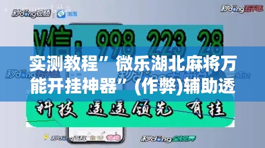 实测教程	”微乐湖北麻将万能开挂神器”(作弊)辅助透视教程