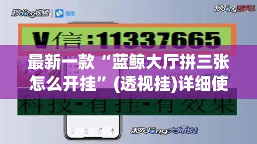 最新一款“蓝鲸大厅拼三张怎么开挂	”(透视挂)详细使用教程