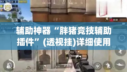 辅助神器“胖猪竞技辅助插件	”(透视挂)详细使用教程