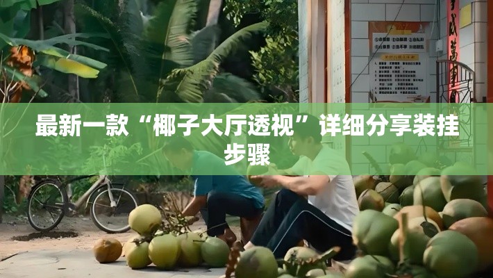 最新一款“椰子大厅透视”详细分享装挂步骤