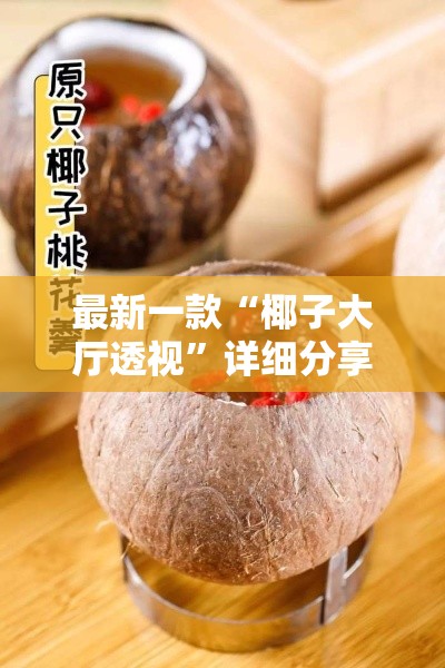 最新一款“椰子大厅透视”详细分享装挂步骤