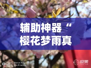 辅助神器“樱花梦雨真的可以开挂吗”其实确实有挂