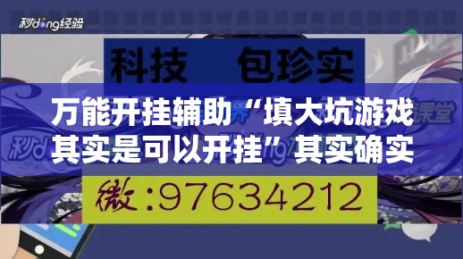 万能开挂辅助“填大坑游戏其实是可以开挂”其实确实有挂