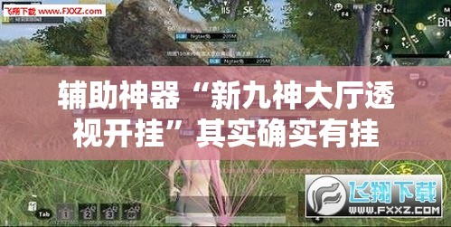 辅助神器“新九神大厅透视开挂”其实确实有挂