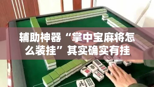 辅助神器“掌中宝麻将怎么装挂”其实确实有挂