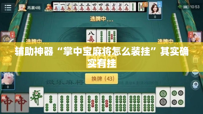 辅助神器“掌中宝麻将怎么装挂	”其实确实有挂