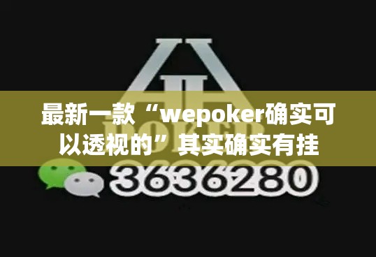 最新一款“wepoker确实可以透视的”其实确实有挂
