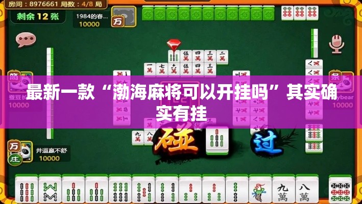 最新一款“渤海麻将可以开挂吗	”其实确实有挂