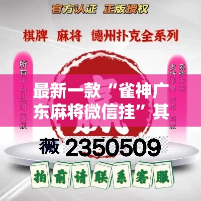 最新一款“雀神广东麻将微信挂”其实确实有挂