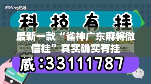最新一款“雀神广东麻将微信挂”其实确实有挂