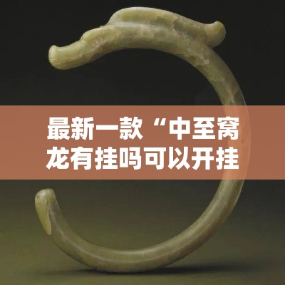 最新一款“中至窝龙有挂吗可以开挂的	”其实确实有挂