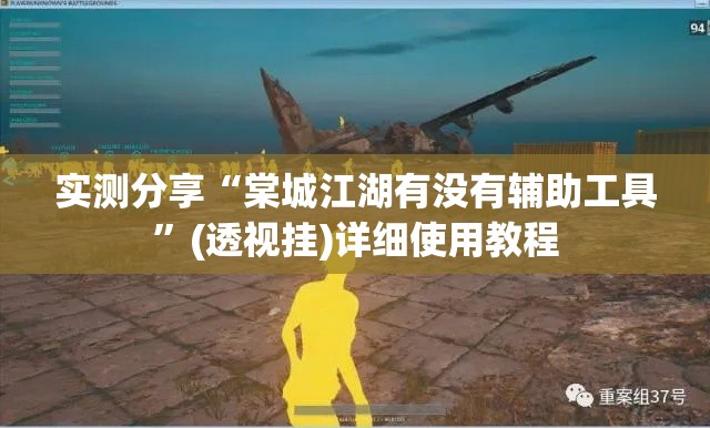 实测分享“棠城江湖有没有辅助工具”(透视挂)详细使用教程