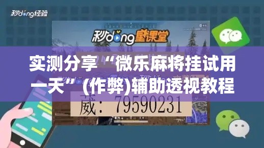 实测分享“微乐麻将挂试用一天”(作弊)辅助透视教程