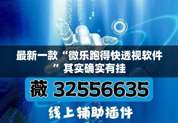 最新一款“微乐跑得快透视软件”其实确实有挂