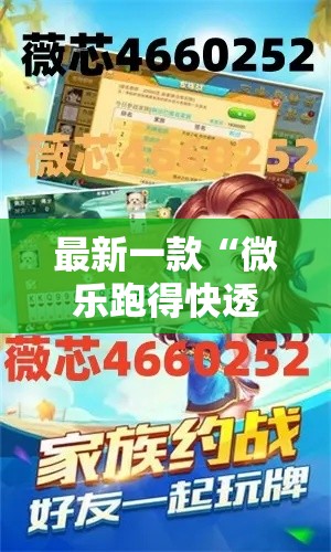 最新一款“微乐跑得快透视软件	”其实确实有挂