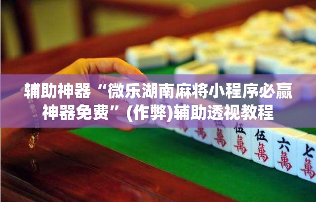 辅助神器“微乐湖南麻将小程序必赢神器免费	”(作弊)辅助透视教程