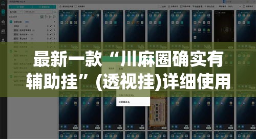 最新一款“川麻圈确实有辅助挂”(透视挂)详细使用教程