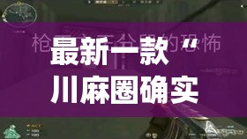 最新一款“川麻圈确实有辅助挂	”(透视挂)详细使用教程
