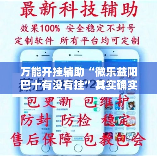 万能开挂辅助“微乐益阳巴十有没有挂”其实确实有挂