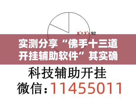 实测分享“佛手十三道开挂辅助软件”其实确实有挂