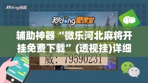 辅助神器“微乐河北麻将开挂免费下载”(透视挂)详细使用教程