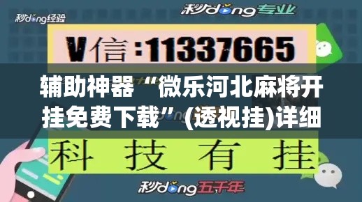 辅助神器“微乐河北麻将开挂免费下载	”(透视挂)详细使用教程