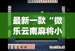 最新一款“微乐云南麻将小程序开挂免费软件”(作弊)辅助透视教程