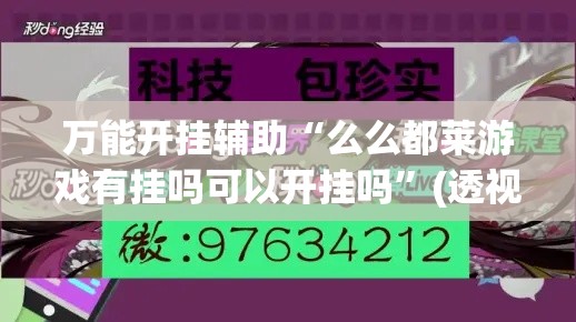万能开挂辅助“么么都莱游戏有挂吗可以开挂吗”(透视挂)详细使用教程