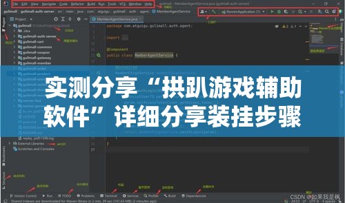 实测分享“拱趴游戏辅助软件”详细分享装挂步骤