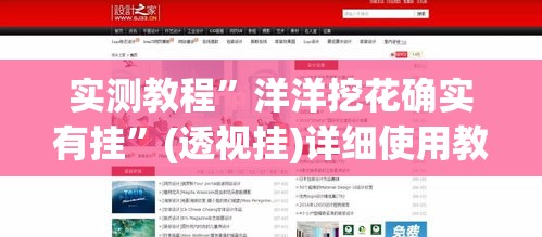 实测教程	”洋洋挖花确实有挂”(透视挂)详细使用教程
