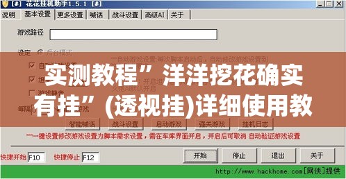 实测教程”洋洋挖花确实有挂	”(透视挂)详细使用教程