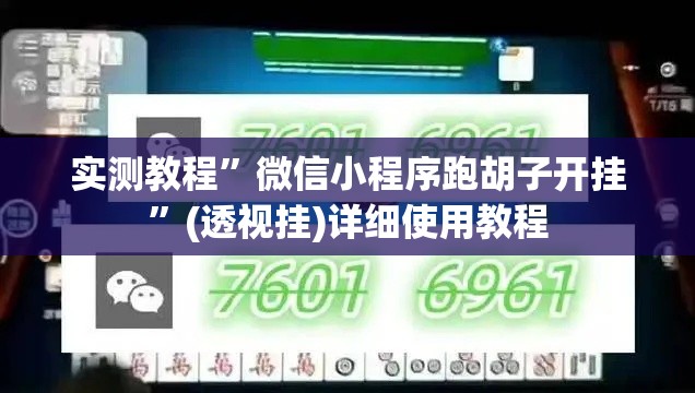 实测教程”微信小程序跑胡子开挂	”(透视挂)详细使用教程