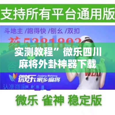 实测教程”微乐四川麻将外卦神器下载”详细分享装挂步骤