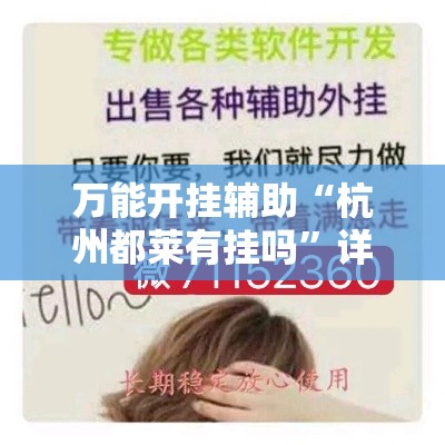 万能开挂辅助“杭州都莱有挂吗”详细分享装挂步骤
