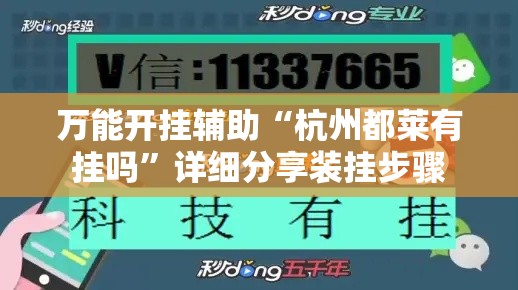 万能开挂辅助“杭州都莱有挂吗”详细分享装挂步骤