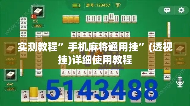 实测教程”手机麻将通用挂”(透视挂)详细使用教程