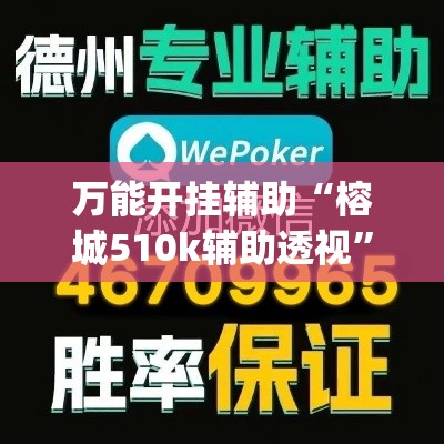 万能开挂辅助“榕城510k辅助透视”(透视挂)详细使用教程