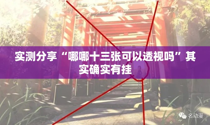 实测分享“哪哪十三张可以透视吗”其实确实有挂