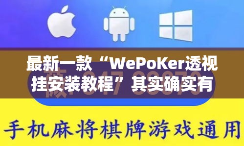 最新一款“WePoKer透视挂安装教程”其实确实有挂