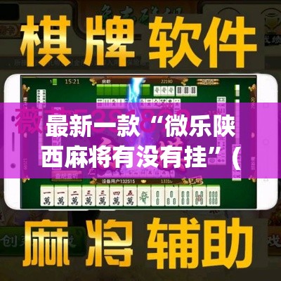 最新一款“微乐陕西麻将有没有挂”(透视挂)详细使用教程