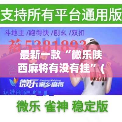最新一款“微乐陕西麻将有没有挂”(透视挂)详细使用教程