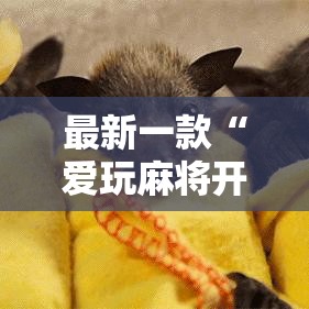 最新一款“爱玩麻将开挂神器下载软件	”其实确实有挂