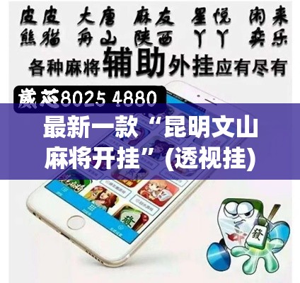 最新一款“昆明文山麻将开挂”(透视挂)详细使用教程