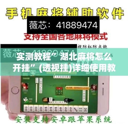 实测教程”湖北麻将怎么开挂	”(透视挂)详细使用教程