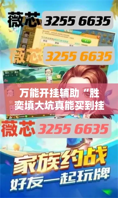 万能开挂辅助“胜奕填大坑真能买到挂吗”详细分享装挂步骤