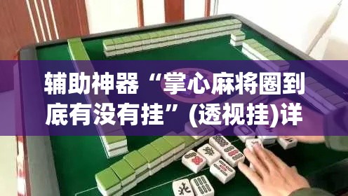 辅助神器“掌心麻将圈到底有没有挂”(透视挂)详细使用教程
