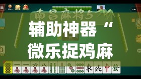 辅助神器“微乐捉鸡麻将开挂教程步骤图”(透视挂)详细使用教程